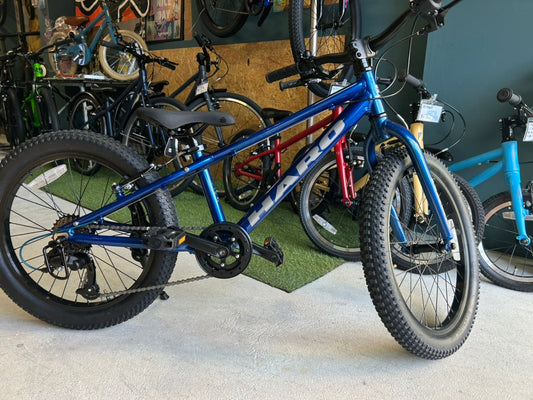 HARO / Flightline 20 PLUS