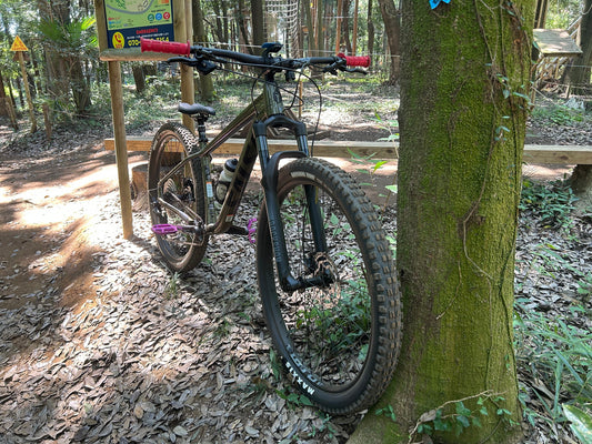 今後のイベントスケジュール