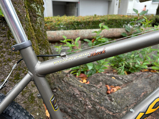 11月のスケジュール