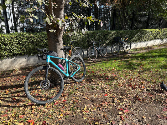 12月のスケジュール！！