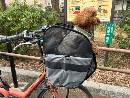 愛犬と一緒にお出かけしたい🐶その願いかないます。