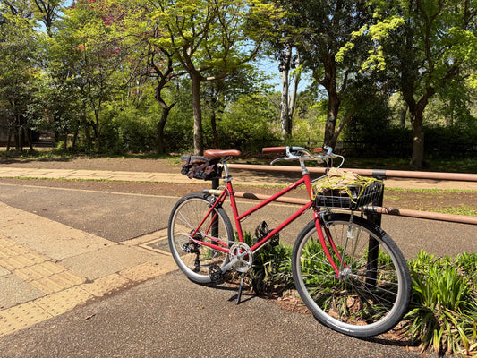 TOKYOBIKE BISOU Mサイズ 試乗車兼通勤快速号完成
