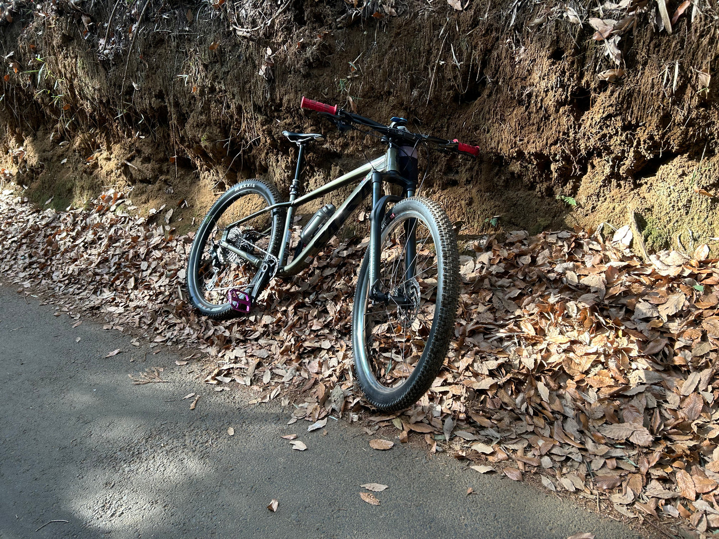 SALSA Timberjack 29 SLX / サルサ　ティンバージャック