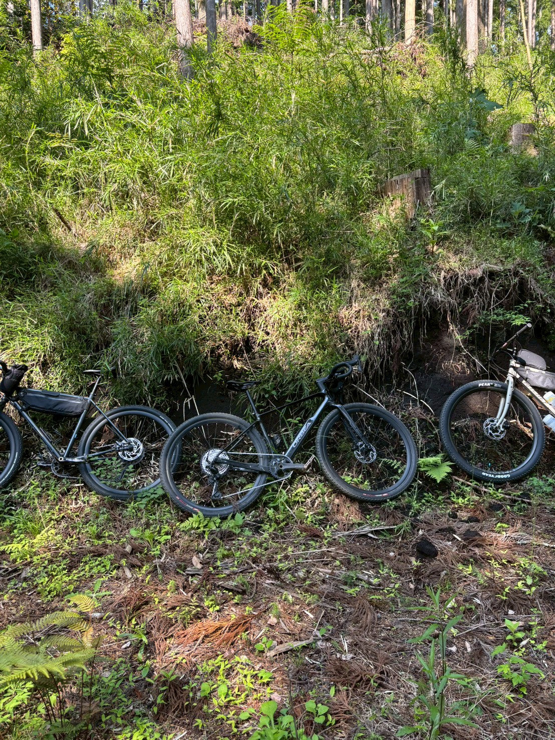 大田区上池台・洗足池の自転車店｜E-OTTO CYCLES – E-Otto Cycles